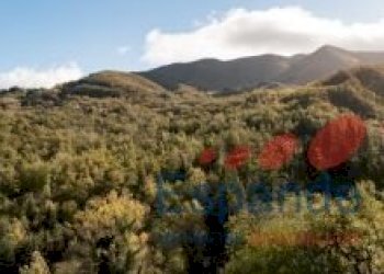 Rustico Sambuca Pistoiese - foto 32