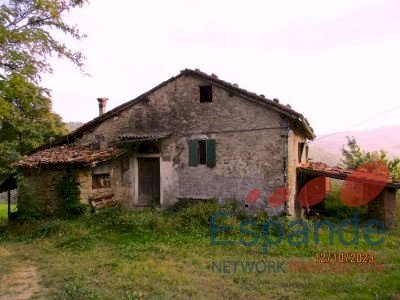 Rustico Loiano - foto 2