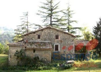 Rustico Loiano - foto 2