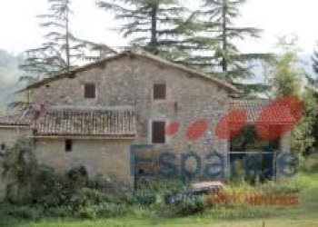 Rustico Loiano - foto 4