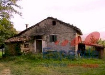 Rustico Loiano - foto 17