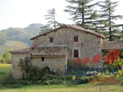 Rustico Loiano - foto 3