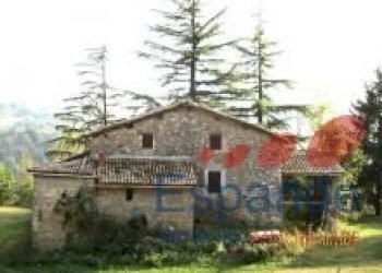 Rustico Loiano - foto 4