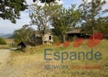 Rustico Loiano - foto 7