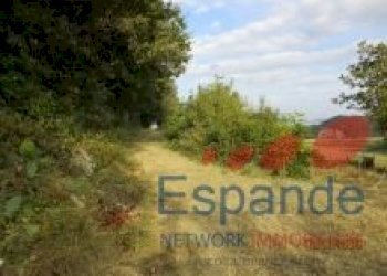 Rustico Loiano - foto 8