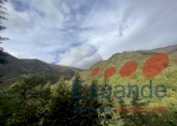 Rustico Alto Reno Terme - foto 14