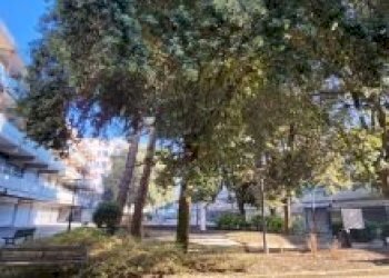 Four-room apartment Cervia - photo 13