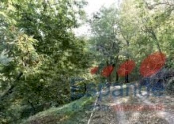 Porzione di casa Sasso Marconi - foto 48