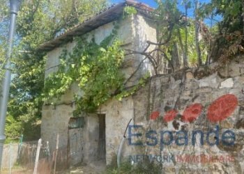 Rustico Grizzana Morandi - foto 3