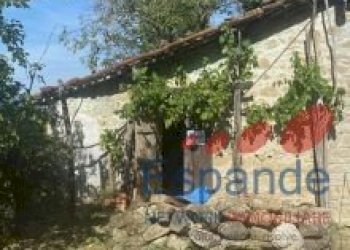 Rustico Grizzana Morandi - foto 14