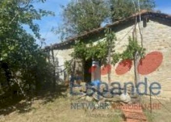 Rustico Grizzana Morandi - foto 15