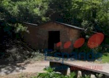 Rustic Monte San Pietro - photo 4