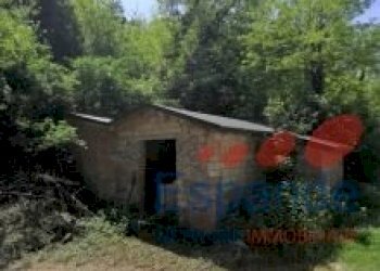 Rustic Monte San Pietro - photo 10