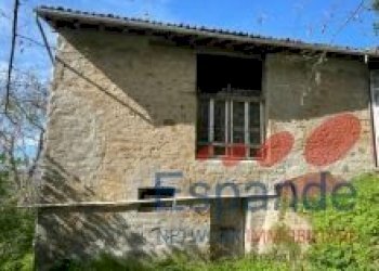 Rustico Grizzana Morandi - foto 15