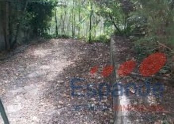 Casa indipendente Grizzana Morandi - foto 7