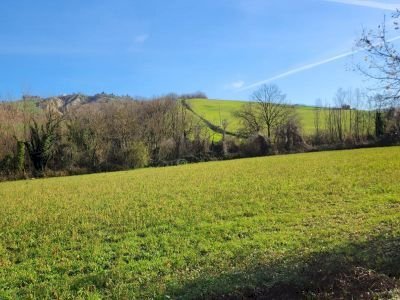 Terreno agricolo Bertinoro - foto 2