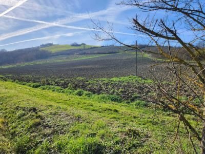 Terreno agricolo Bertinoro - foto 3