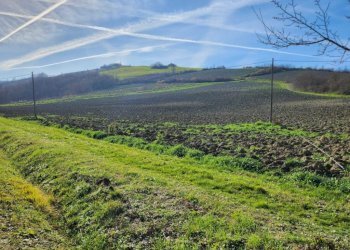Terreno agricolo Bertinoro - foto 1