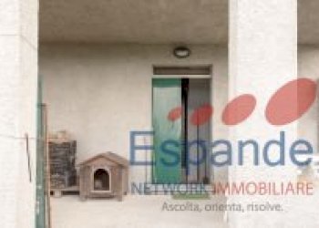 Casa indipendente Vergato - foto 7