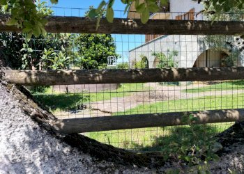 Villa Unifamiliare Agazzano - foto 28