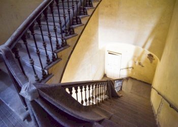 Stable - Palace Reggio nell'Emilia - photo 4