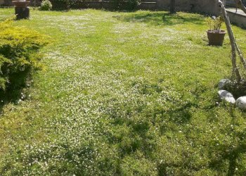 WhatsApp Image 2024-05-20 at 09.31.48.jpeg - Casa semi indipendente Viale Galileo Galilei 1261, Carrara - foto 10