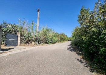 5.jpg - Terreno agricolo San Sperate - foto 5