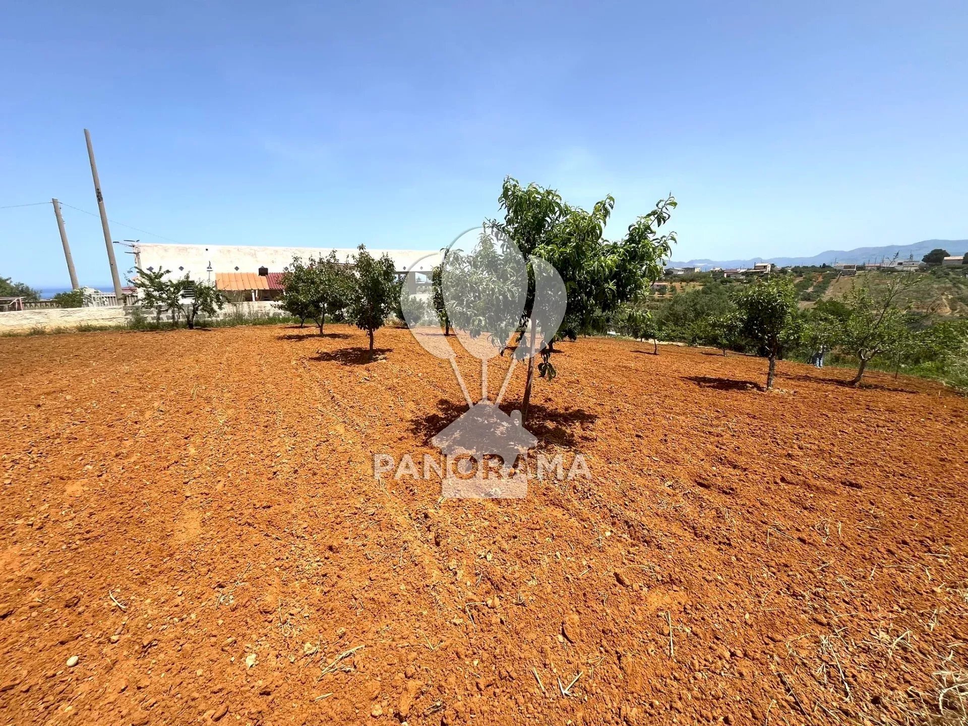 Terreno agricolo Contrada Vallone del Lupo, Alcamo - foto 3