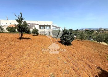 Terreno agricolo Contrada Vallone del Lupo, Alcamo - foto 6