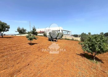 Terreno agricolo Contrada Vallone del Lupo, Alcamo - foto 8