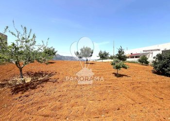 Terreno agricolo Contrada Vallone del Lupo, Alcamo - foto 11