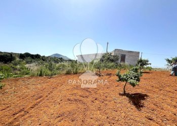Terreno agricolo Contrada Vallone del Lupo, Alcamo - foto 12