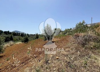 Terreno agricolo Contrada Vallone del Lupo, Alcamo - foto 14