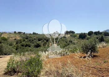 Terreno agricolo Contrada Vallone del Lupo, Alcamo - foto 15