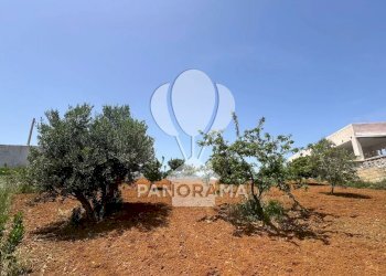 Terreno agricolo Contrada Vallone del Lupo, Alcamo - foto 17