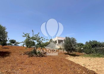 Terreno agricolo Contrada Vallone del Lupo, Alcamo - foto 19