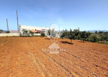 Terreno agricolo Contrada Vallone del Lupo, Alcamo - foto 20