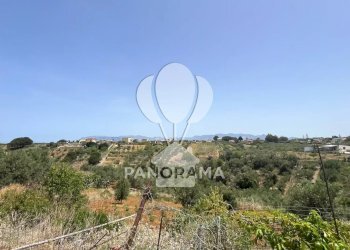 Terreno agricolo Contrada Vallone del Lupo, Alcamo - foto 22