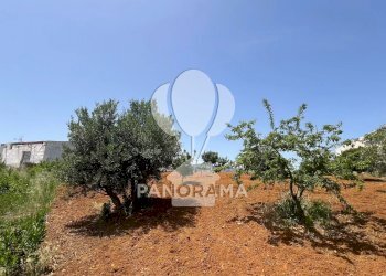 Terreno agricolo Contrada Vallone del Lupo, Alcamo - foto 24