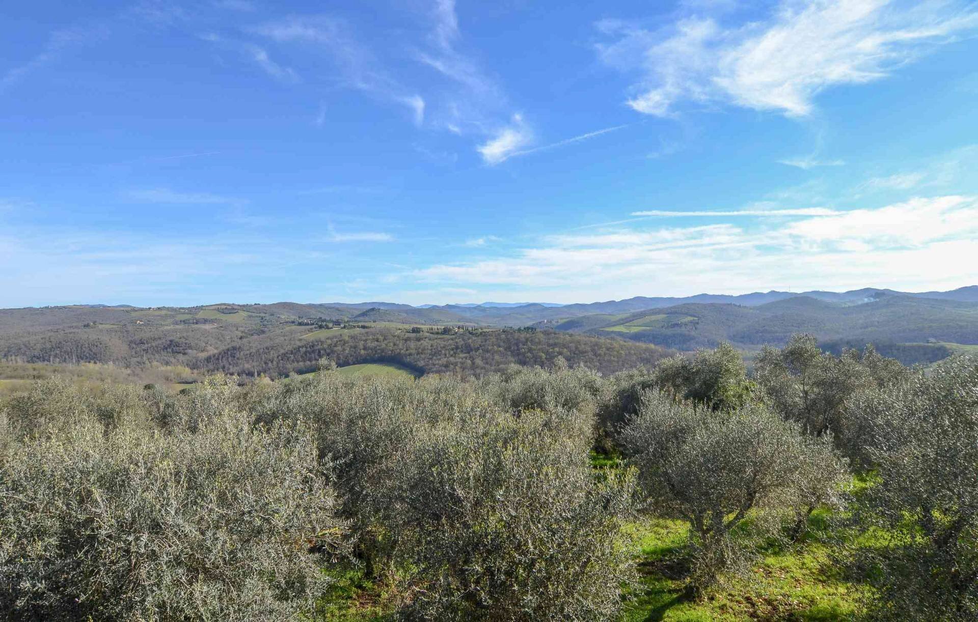 Independent house VIa Selvole, Castelnuovo Berardenga - photo 2