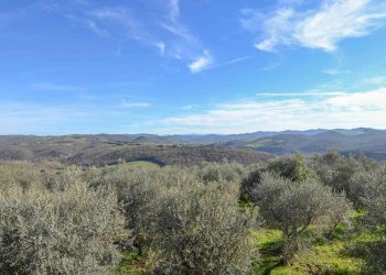 Casa indipendente VIa Selvole, Castelnuovo Berardenga - foto 2
