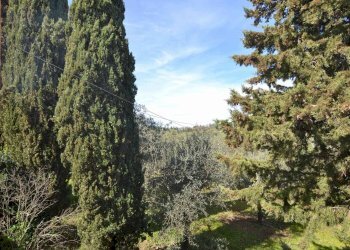 Casa indipendente VIa Selvole, Castelnuovo Berardenga - foto 14