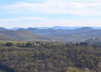 Casa indipendente VIa Selvole, Castelnuovo Berardenga - foto 25