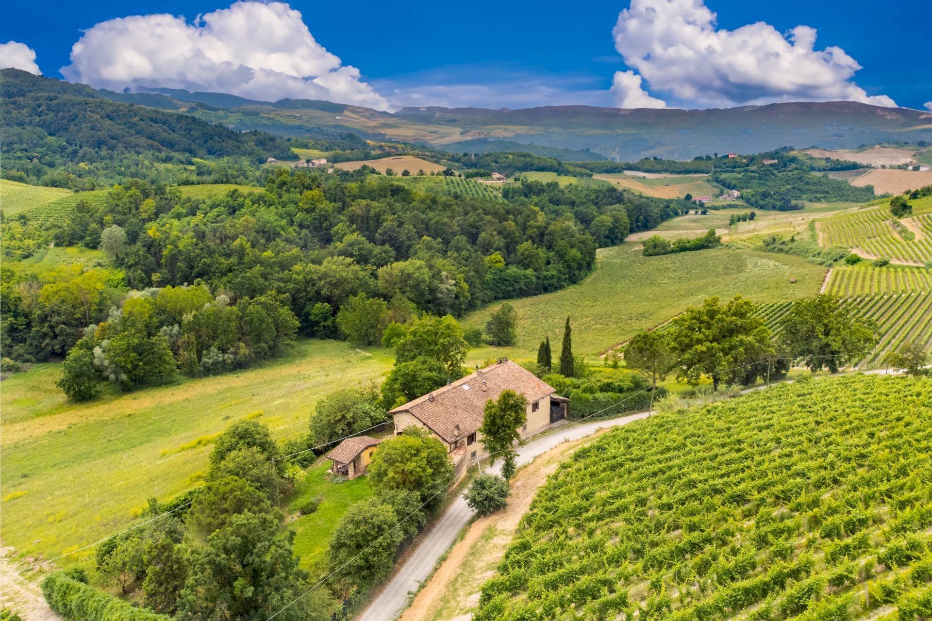 Villa Unifamiliare Cascina San Grato, Sala Monferrato - foto 3