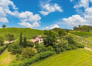 Villa Unifamiliare Cascina San Grato, Sala Monferrato - foto 2