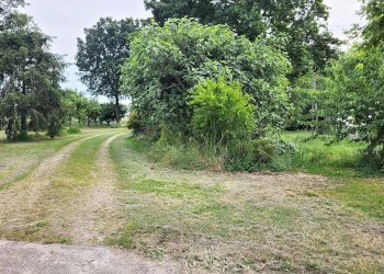 Terreno - Casa indipendente via Canaletto, 83, Minerbio - foto 5