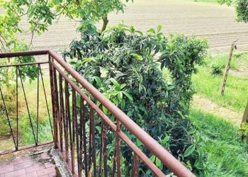 Balcone - Casa indipendente via Canaletto, 83, Minerbio - foto 26