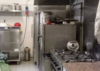 IMG-20240426-WA0015.jpg - Alimentari - Gastronomia Via Antonio Gramsci, Lucca - foto 1