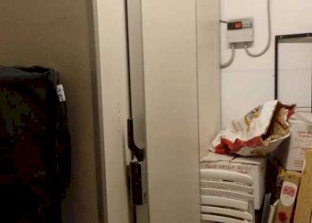 IMG-20240426-WA0011.jpg - Alimentari - Gastronomia Via Antonio Gramsci, Lucca - foto 2