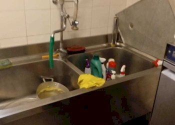 IMG-20240426-WA0012.jpg - Alimentari - Gastronomia Via Antonio Gramsci, Lucca - foto 3